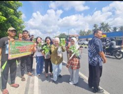 Dinas TPHP Kalteng Bagikan 2000 Bibit Cabai Rawit Gratis