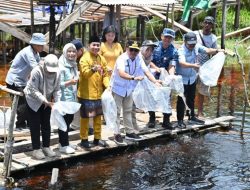 Gubernur Kalteng Lakukan Restocking Benih Ikan Untuk Jaga Ekosistem